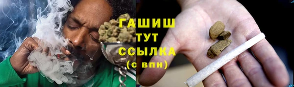 твердый Богданович