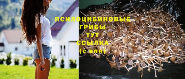 PSILOCYBIN Богородск