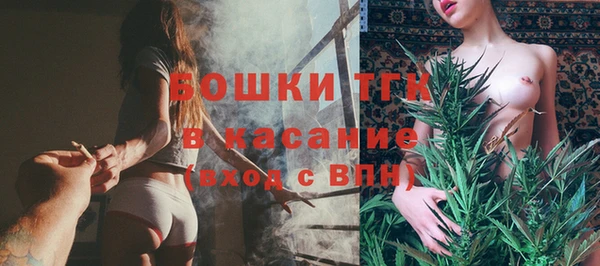 твердый Богданович
