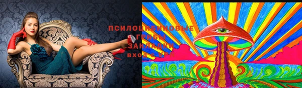 твердый Богданович