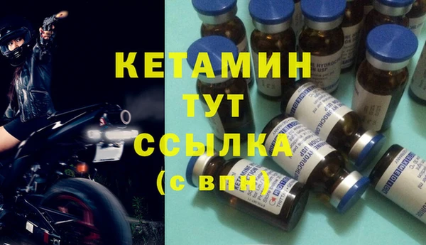 твердый Богданович