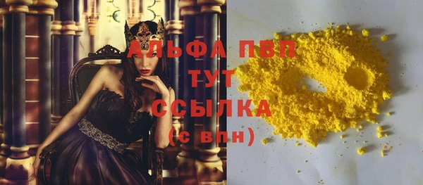 твердый Богданович