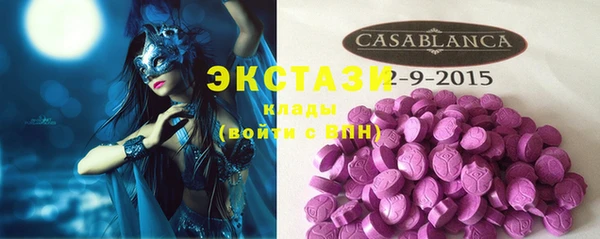 твердый Богданович